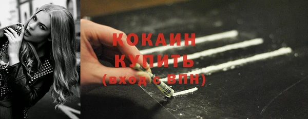 прущий лед Алзамай