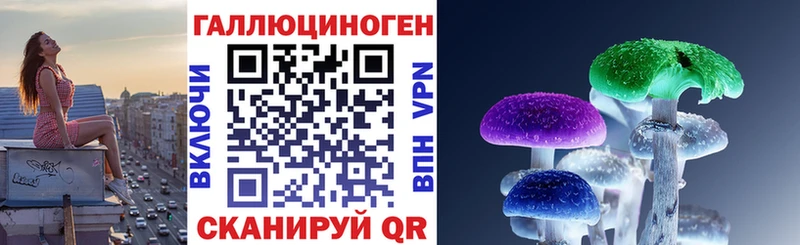 Галлюциногенные грибы GOLDEN TEACHER  нарко площадка какой сайт  Жуков  наркота 